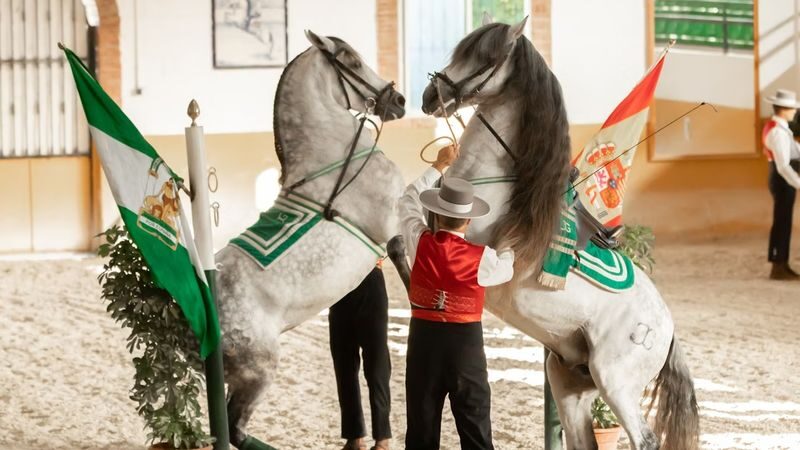 Andalusian horse and Flamenco show in Torremolinos - What to know before you book