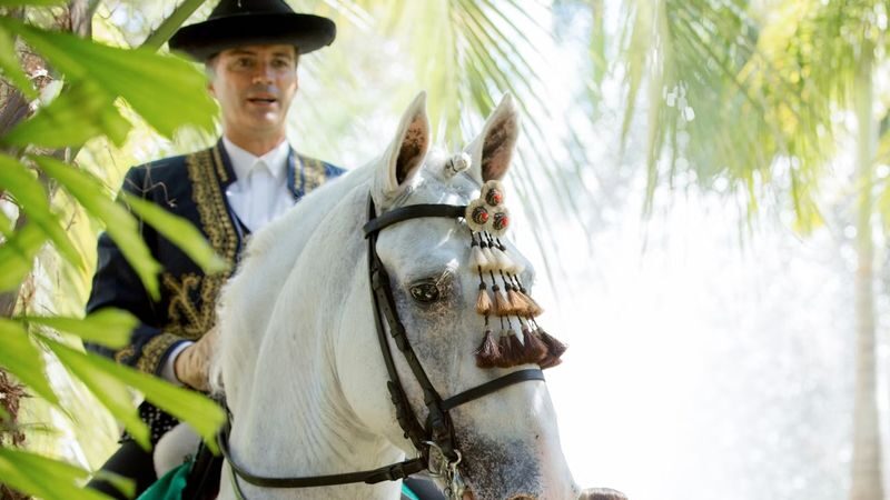 Andalusian horse and Flamenco show in Torremolinos - A horse show with Andalusian character