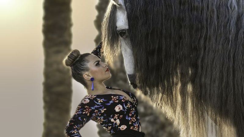 Andalusian horse and Flamenco show in Torremolinos - Adding flamenco, dinner and a workshop