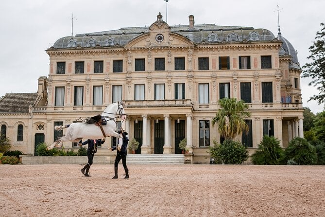 Andalusian Horses Dance Show - Reviews and Praise for the Andalusian Horses Dance Show
