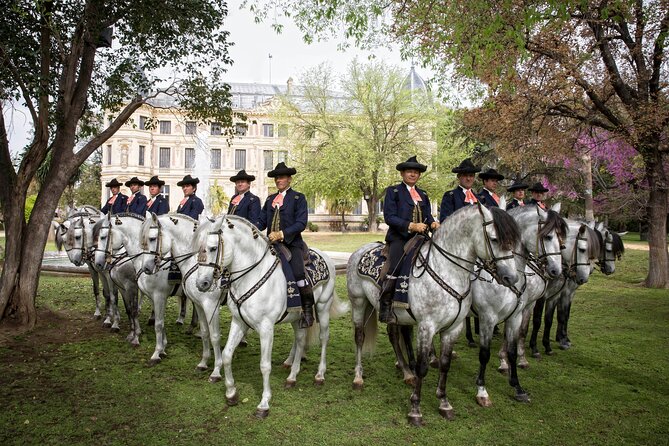 Andalusian Horses Dance Show - Additional Information and Resources