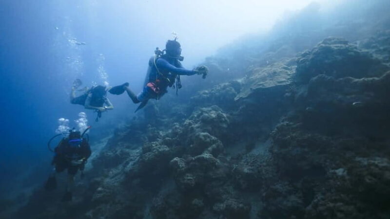 Andaman: Havelock Scuba Diving by PADI 5-Star Dive Center - Good To Know