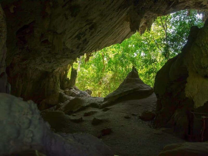 Andaman Island: Day Tour to Baratang Island - What the Tour Promises