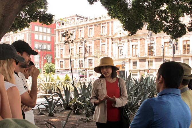 ANDARES Freewalkingtour: Historical Route in Downtown Mexico City - Reviews