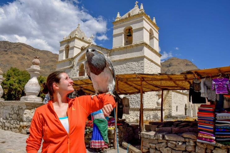 Andes: Colca Canyon Day-Trip - Experience Highlights