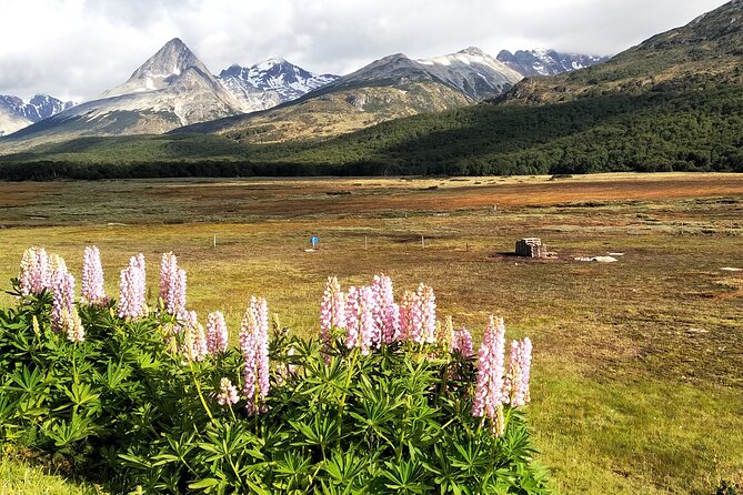 Andes Crossing: Escondido and Fagnano Lakes With Lamb Included - Overview of Andes Crossing Tour
