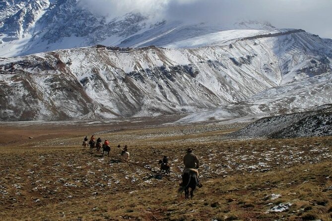 Andes Day Horseback Riding Tour and BBQ - Tour Highlights