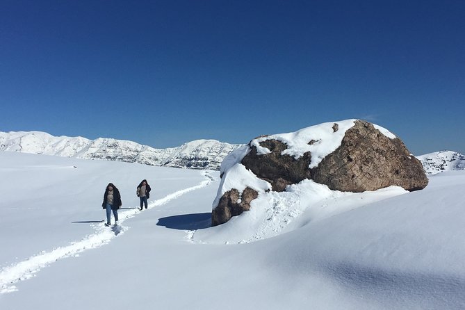 Andes Mountains: Half-Day Private Tour From Santiago - Customer Reviews and Experiences