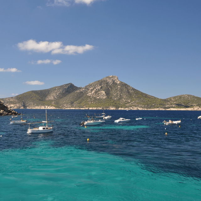 Andratx: Boat Tour to Dragonera Island + Sant Elm - Good To Know