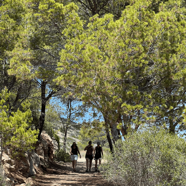 Andratx: Boat Tour to Dragonera Island + Sant Elm - Departure and Itinerary