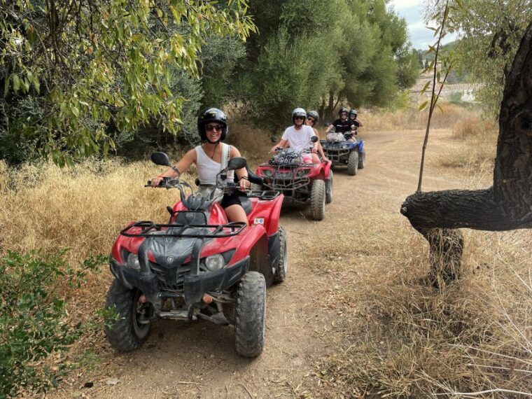 Andratx: Guided Quad Sightseeing Tour - Scenic Highlights