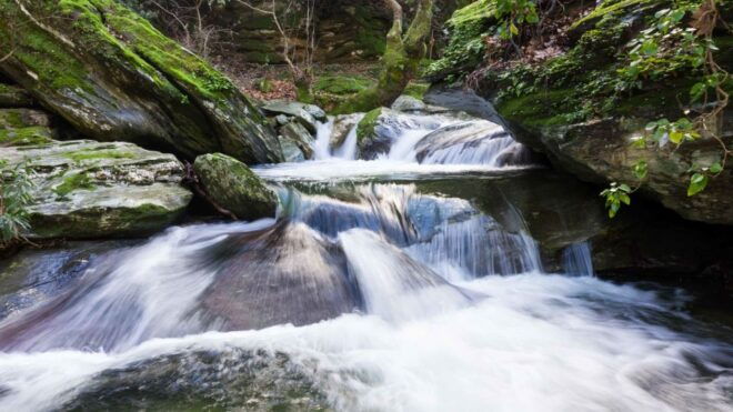 Andros: Achla River Trekking to the Waterfall - Customer Reviews