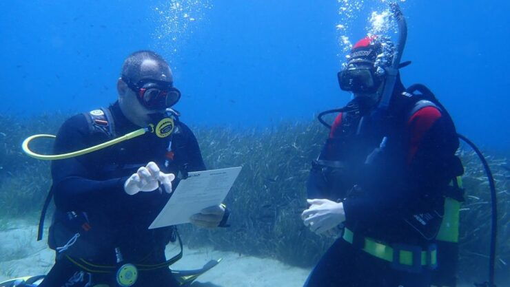 Andros: Get Your Padi Open Water Certificate! - Activity Details