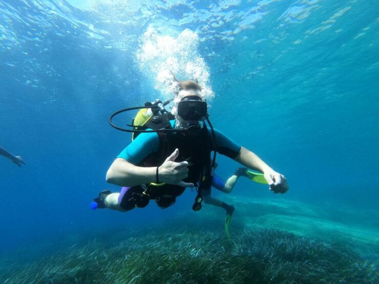 Andros: Get Your Padi Open Water Certificate! - Experience Highlights