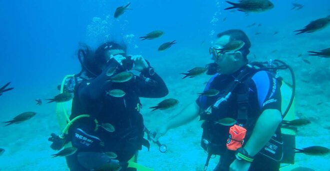 Andros: Get Your Padi Open Water Certificate! - Course Overview