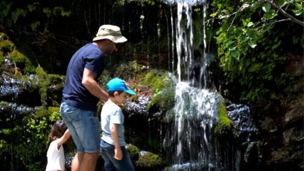 Andros Town, Pythara Falls, Menites Springs: Half-Day Tour - Booking Information