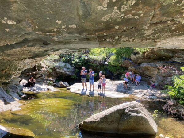 Andros Town, Pythara Falls, Menites Springs: Half-Day Tour - Important Notes