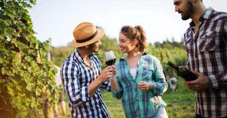 Andros Wine Tasting & Pythara Waterfalls Half-Day Tour - Good To Know