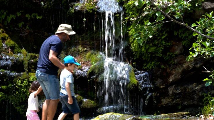 Andros Wine Tasting & Pythara Waterfalls Half-Day Tour - Itinerary