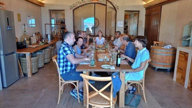 Andros Wine Tasting & Pythara Waterfalls Half-Day Tour - Highlights
