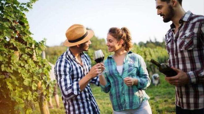 Andros Wine Tasting & Pythara Waterfalls Half-Day Tour - Important Information