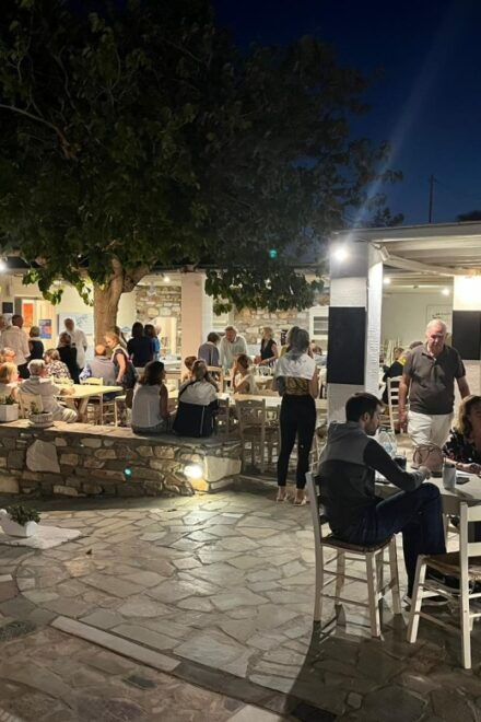 Anezina Village Paros: Greek Night - Inclusions