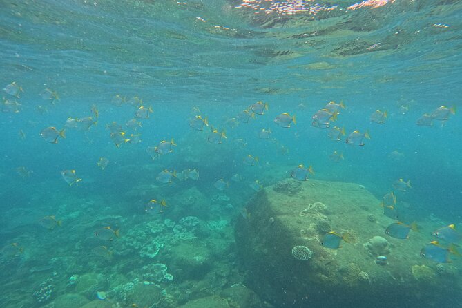Angel Rock Snorkeling Site - Snorkeling at Angel Rock