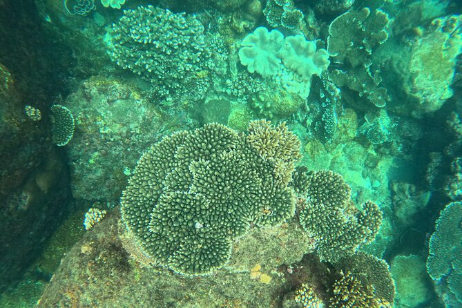 Angel Rock Snorkeling Site - Contact Information for Inquiries