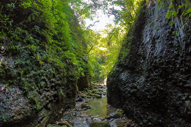 Angelic Stream Trekking (Departure With 4 People) - Confirmation and Availability