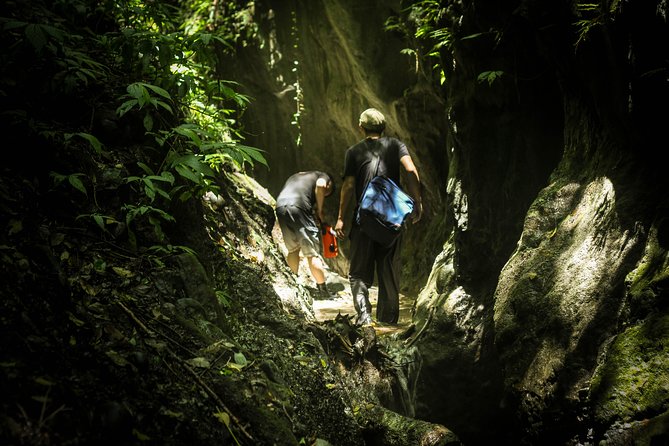 Angelic Stream Trekking (Departure With 4 People) - Recommended Health Conditions