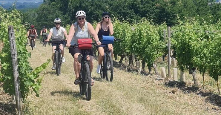 Angers: Cycling Tour With Wine Tastings ! - Wine Tasting Experience