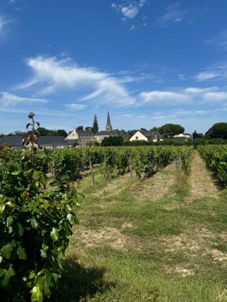 Angers: Ride on the Banks of the Loire in Electric Tuk Tuk - What to Expect During the Ride