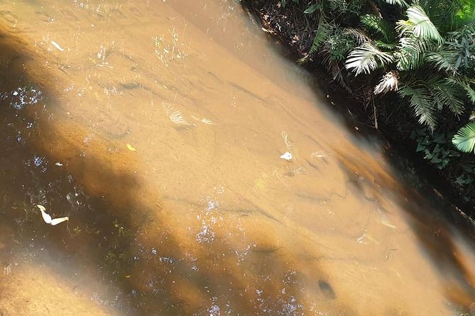 Angkor and Waterfall - Banteay Srei: Pink Sandstone Beauty