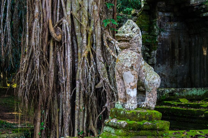 Angkor Archaeological Park Ticket - Miscellaneous