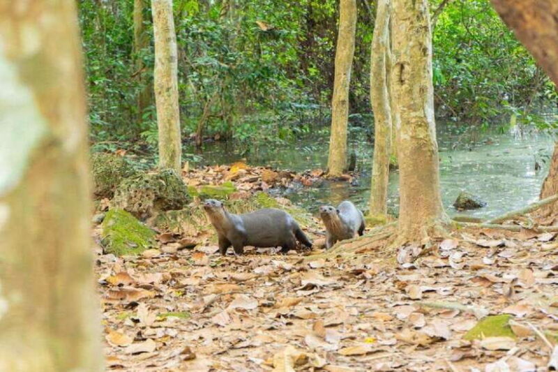 Angkor Bike tour & Gondola Sunset Boat w/ Drinks & Snack - Authentic Experiences and Genuine Reviews