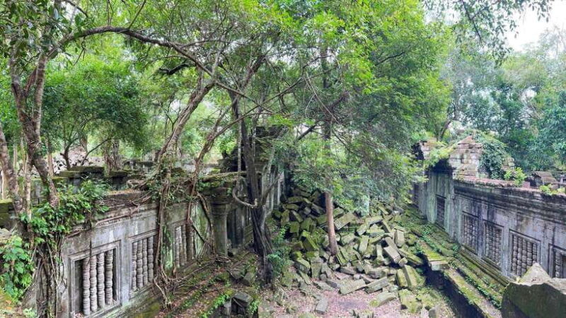 Angkor full day tour (Full intense day to discover the most) - The Experience in Perspective