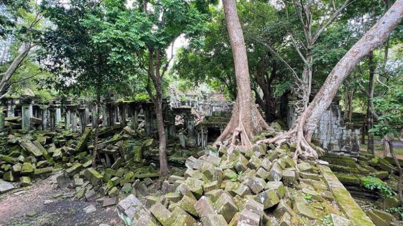Angkor full day tour (Full intense day to discover the most) - Frequently Asked Questions (FAQ)