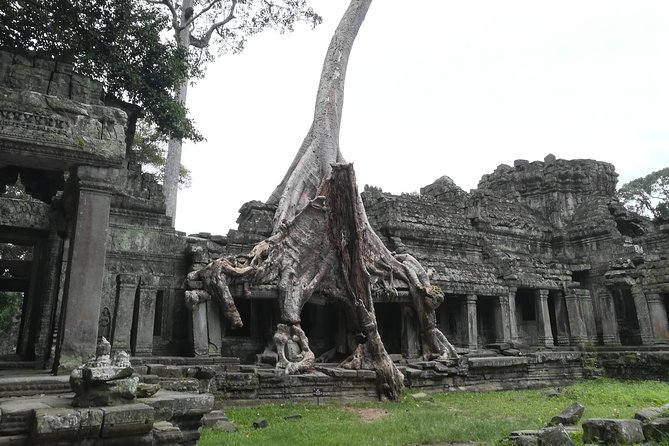 Angkor Grand Circuit Temples Tour - Tour Details