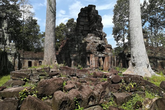 Angkor Grand Circuit Temples Tour - Reviews Summary