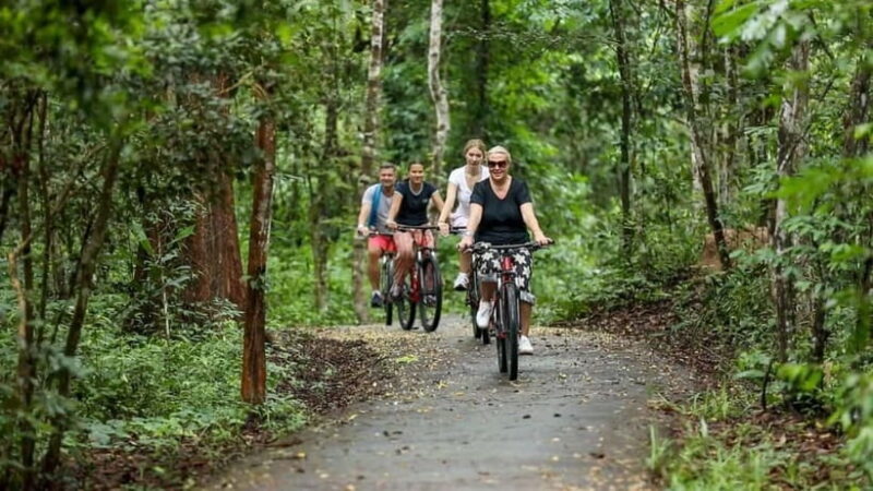 Angkor Jungle Biking Adventure Private Cycling Tour - Why This Tour is a Great Fit