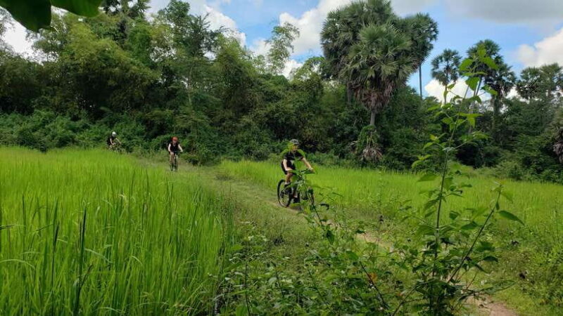 Angkor Jungle Biking Adventure Private Cycling Tour - The Sum Up