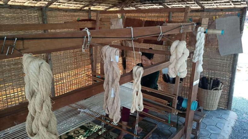 Angkor Silk Farm & Lotus Silk Farm: Siem Reap Discovery Tour - Who Is This Tour For?