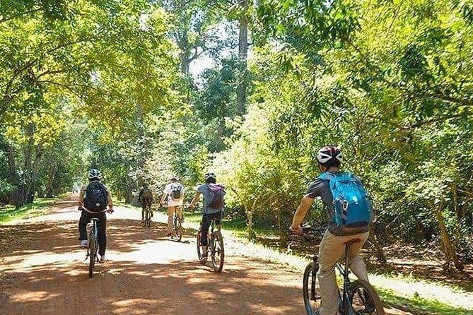 Angkor Sunrise Bike Tour With Breakfast & Lunch - Reviews and Ratings