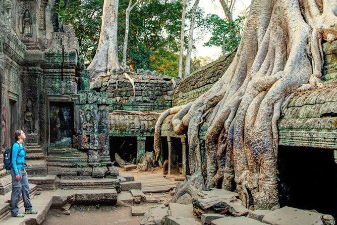 Angkor Sunrise Small Group Tour Inclusive Breakfast and Lunch - Expert Local Guide