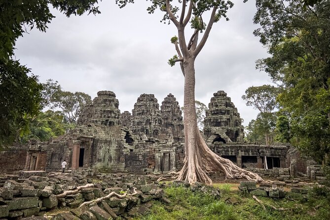 Angkor Sunrise Tour by Bike With Breakfast, Lunch & Tour Guide - Transportation and Logistics