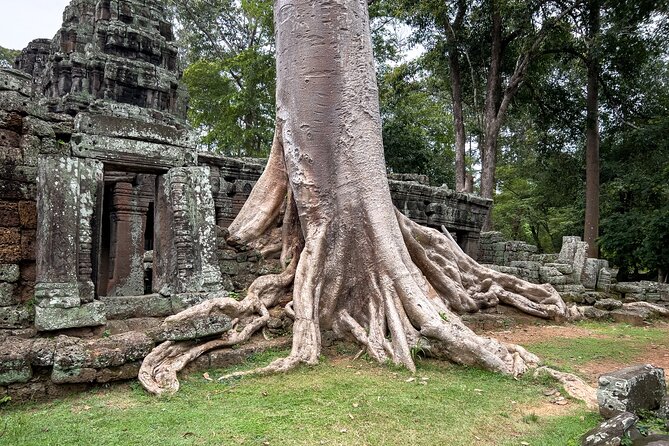 Angkor Sunrise Tour by Bike With Breakfast, Lunch & Tour Guide - Dress Code and Requirements