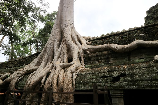 Angkor Temples Private Full-Day Tour From Siem Reap (Free Child) - Cancellation Policy