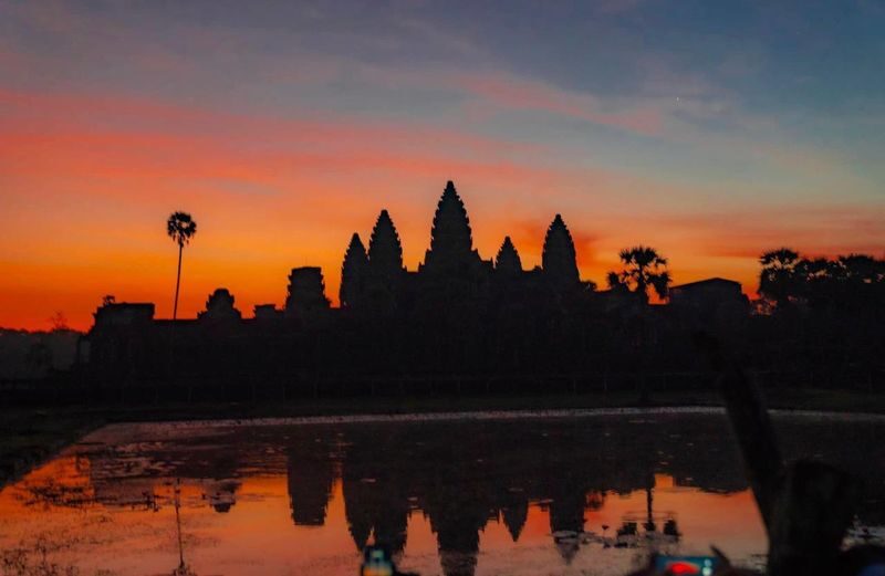 Angkor Temples Sunrise Tour - Ta Prohm: stone, roots, and shade