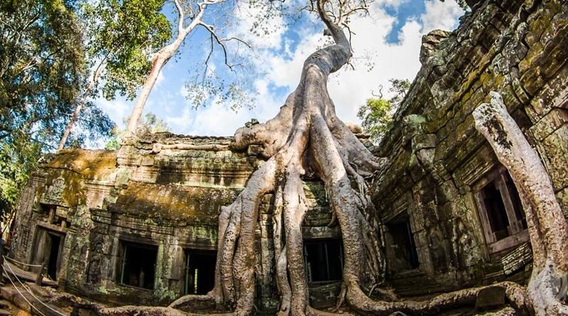 Angkor Temples Tour - Should you book the Angkor Temples Tour?