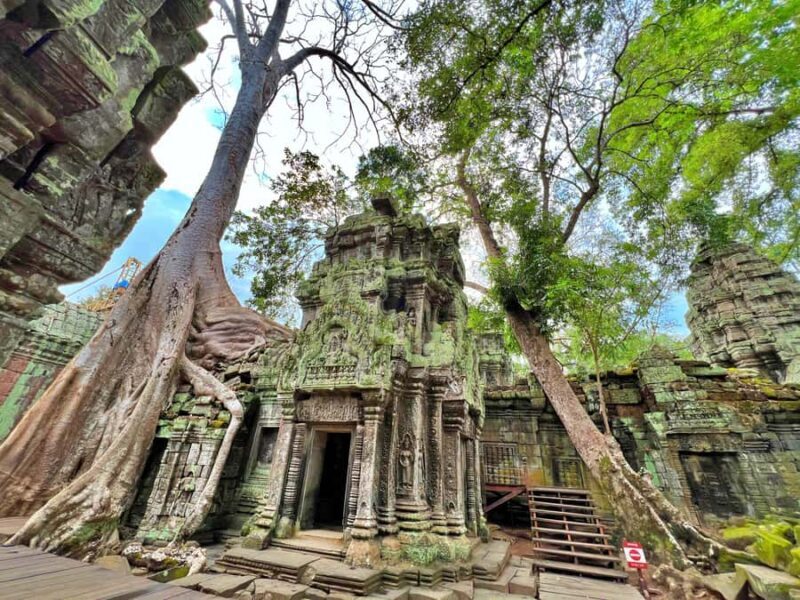 Angkor: The Jungle Temple tour by Vintage Jeep - Good To Know